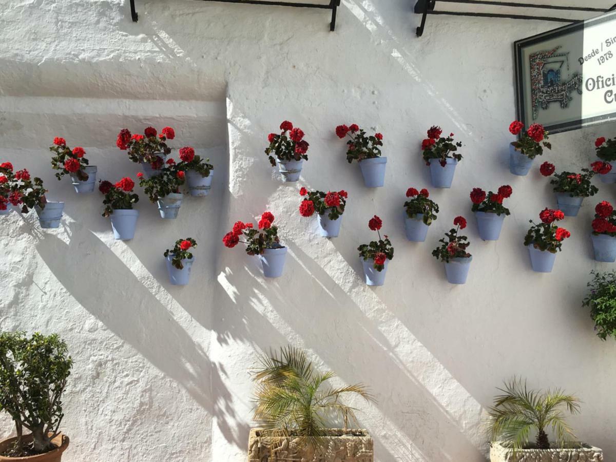 Apartamentos Riscos Torremolinos Esterno foto